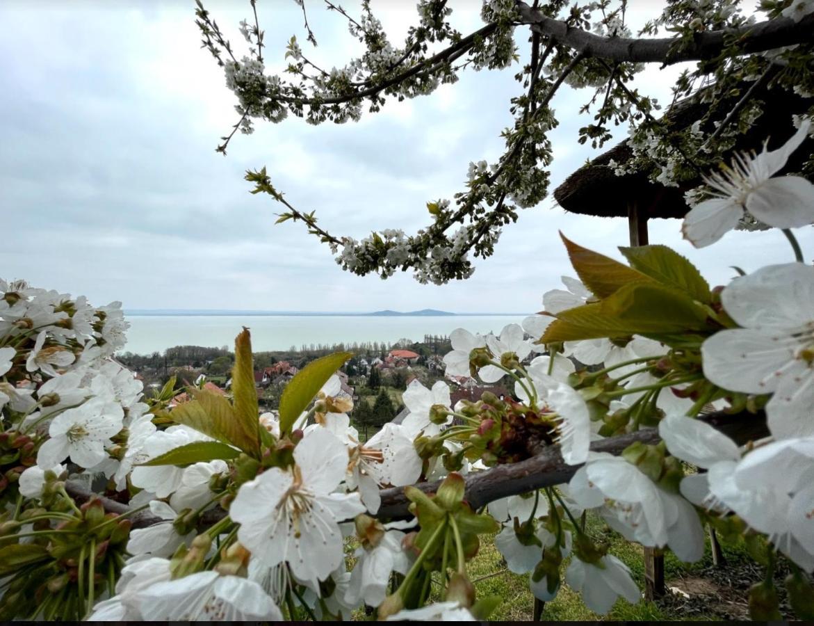 Panorama Apartmanhaz バダチョニトマイ エクステリア 写真